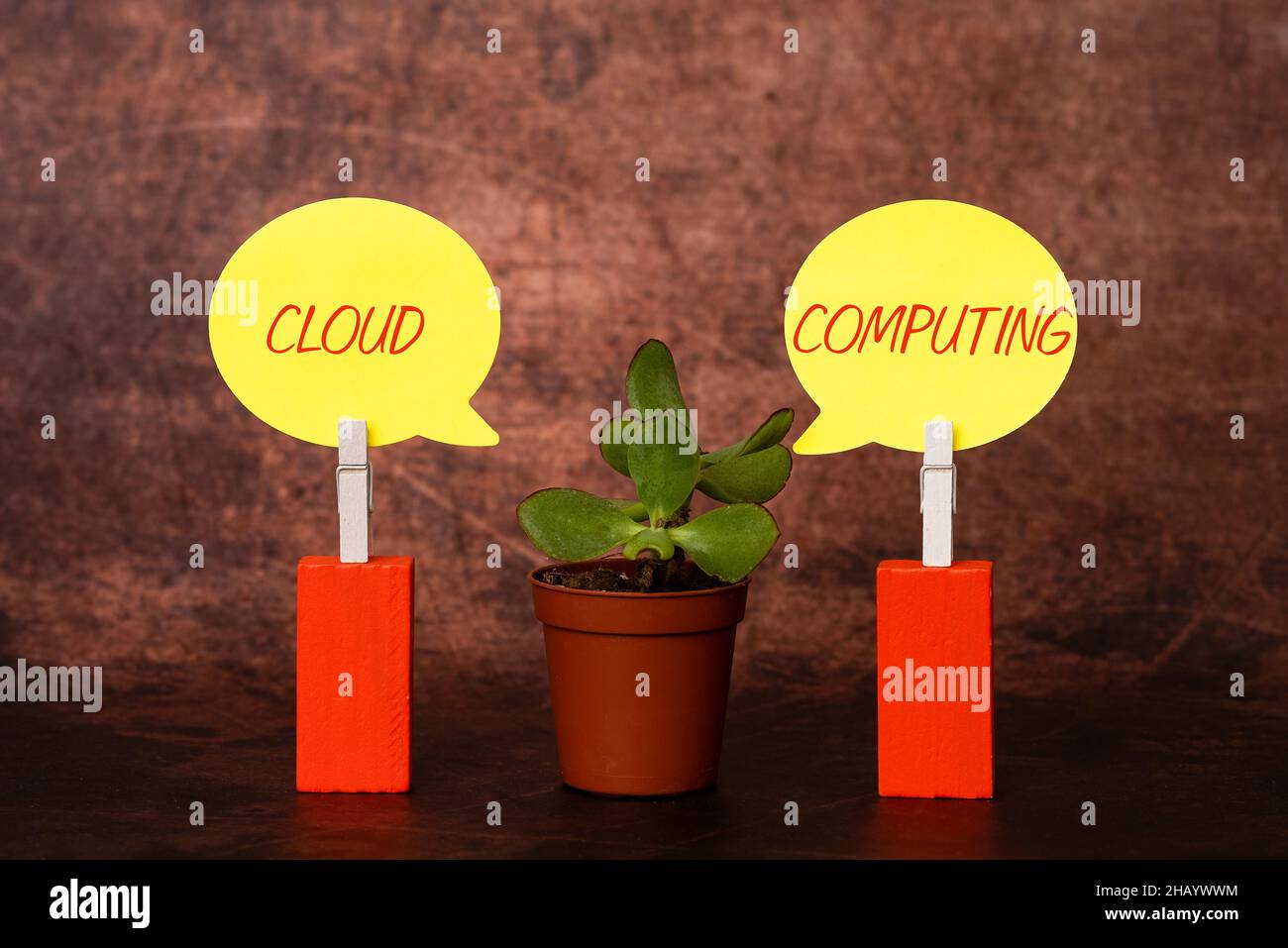 Textschild mit Cloud Computing. Geschäftsidee Verwenden Sie ein Netzwerk von Remote-Servern, die im Internet gehostet werden, um die neue Idee von Lösungen und zu entwickeln Stockfoto