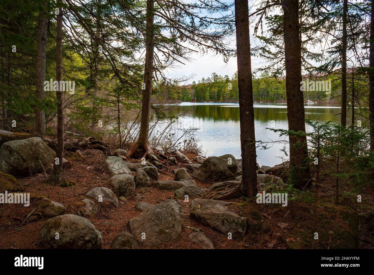 Kettle Pond State Park, Groton, Vermont Stockfoto