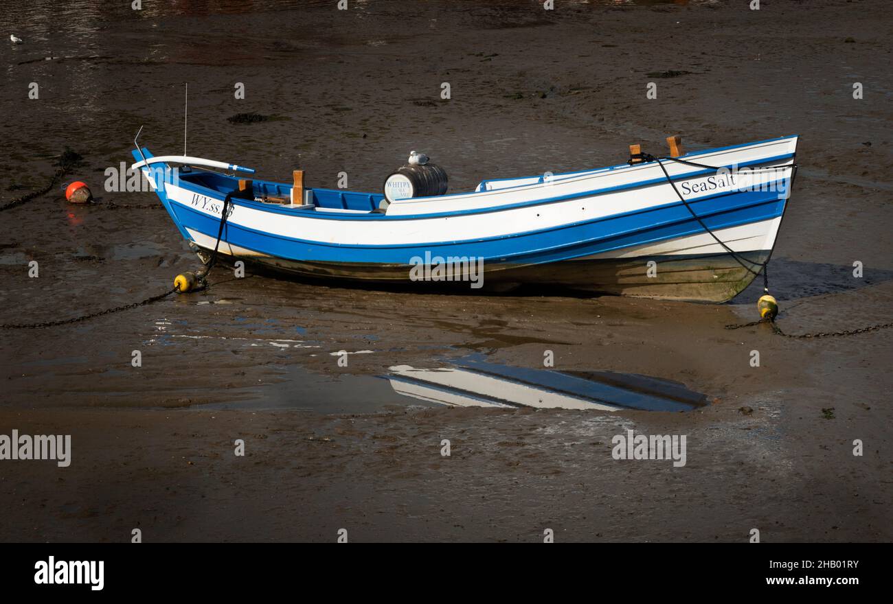 Sea Salt Fischerboot in Whitby Harbour, Whitby, Yorkshire, Großbritannien Stockfoto