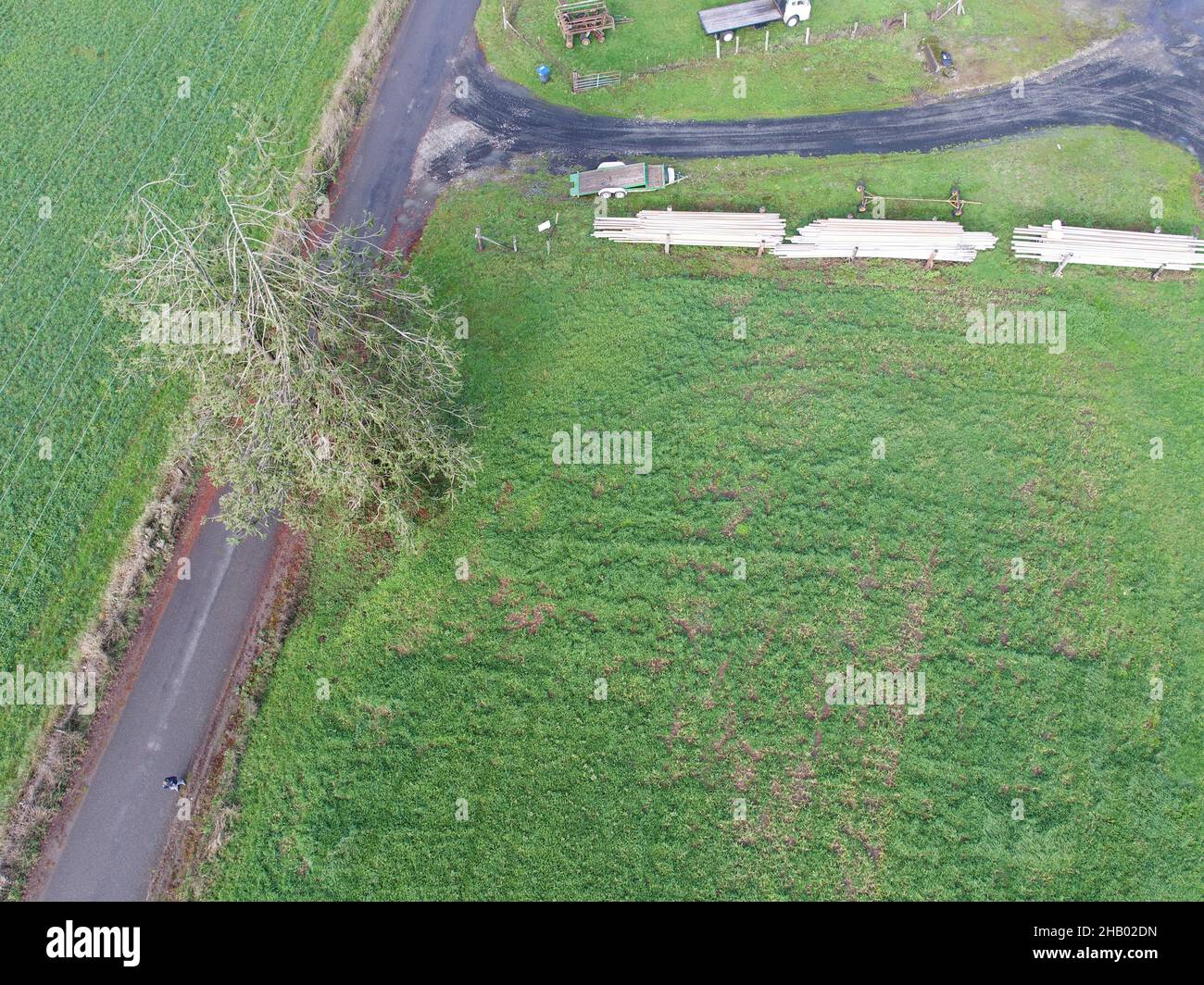 Ein Blick auf landwirtschaftliche Felder in den USA, die als Heu geerntet werden Stockfoto