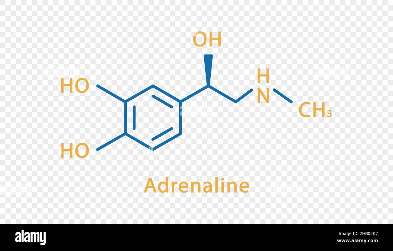 Chemische Formel für Adrenalin. Adrenalin strukturelle chemische Formel isoliert auf transparentem Hintergrund. Stock Vektor