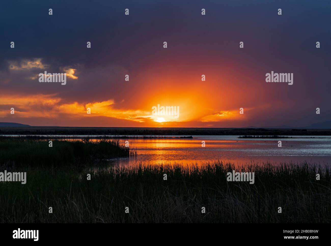 Die Sonne untergeht über den Gewässern des Wasservogelbewirtschaftungsgebiets Farmington Bay, Farmington, Davis County, Utah, USA. Stockfoto