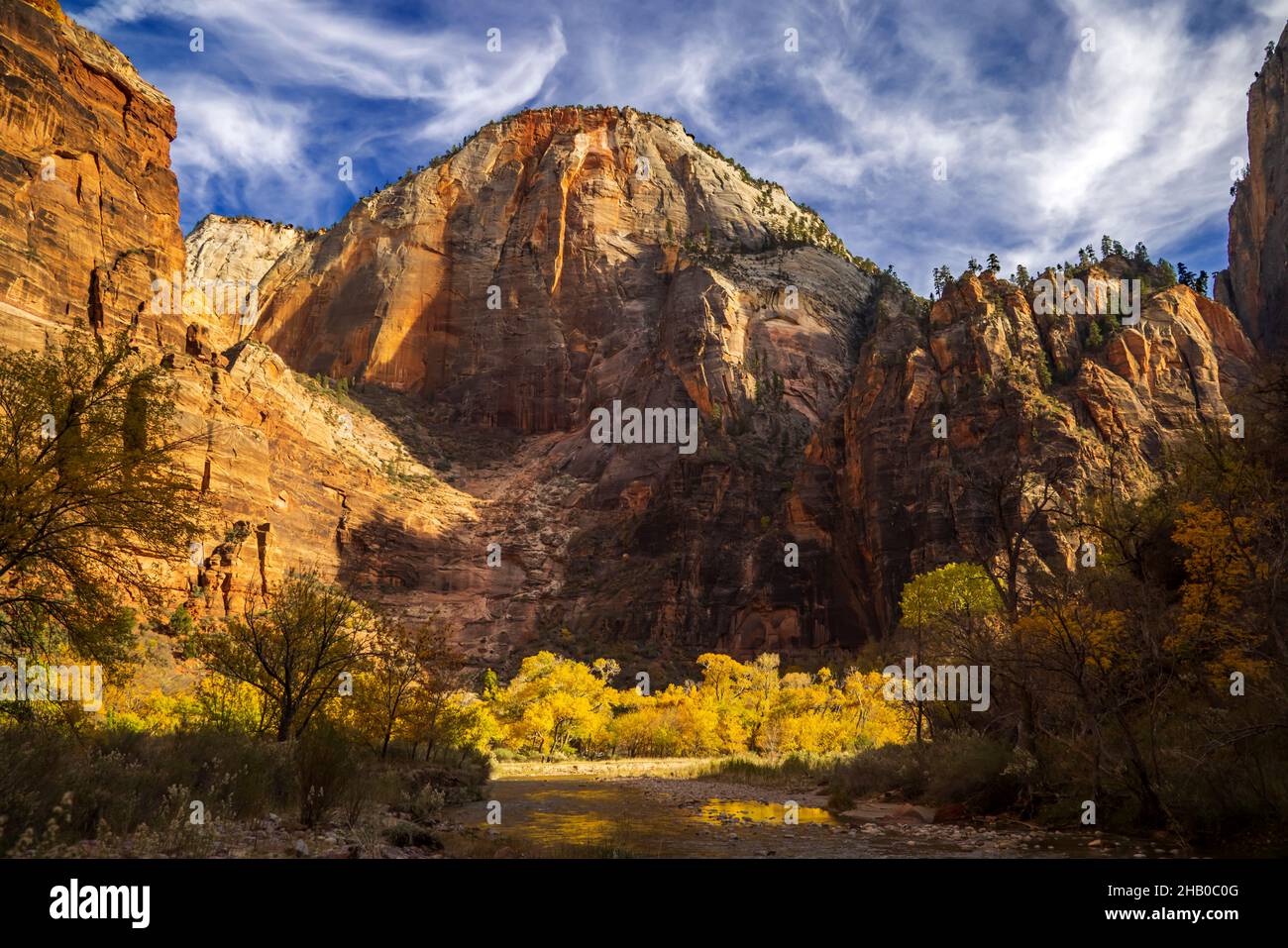 Dies ist eine Herbstansicht des Cable Mountain in der Big Bend Gegend des Zion National Park, Springdale, Washington County, Utah, USA. Stockfoto