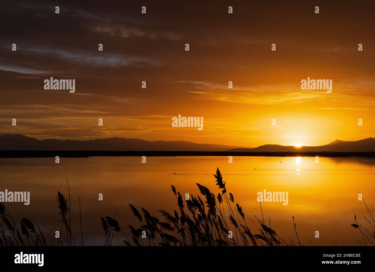 Das Nachglühen des Sonnenuntergangs erhellt die Wolken und das Wasser im Wasservogelmanagement-Gebiet Farmington Bay, Farmington, Davis County, Utah, USA. Stockfoto