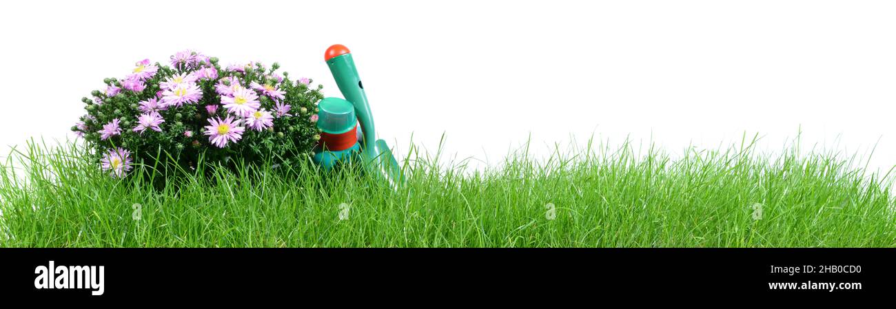 Blume - Rasen mit Gartenwerkzeugen isoliert auf weißem Hintergrund Stockfoto
