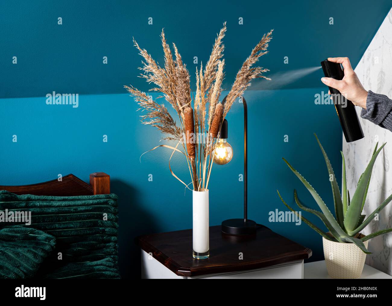Person mit Haarspray für die Erhaltung getrockneten natürlichen verschiedenen Graspflanzen Verbreitung von Samen und Streuung in zu Hause. Stockfoto