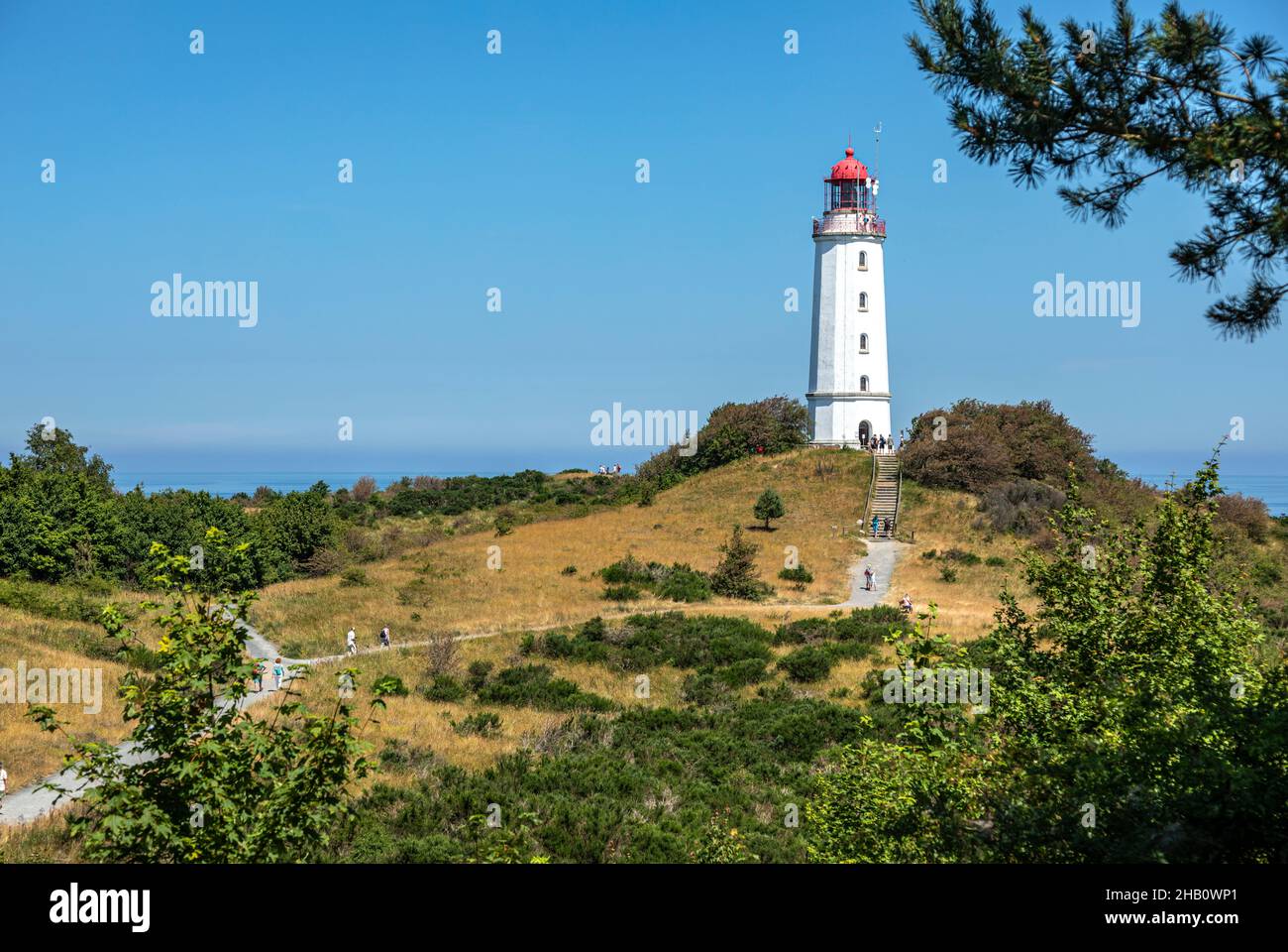 Dornbusch Leuchtturm Auf Der Insel Hiddensee In Mecklenburg-Vorpommern, Deutschland, Europa Stockfoto