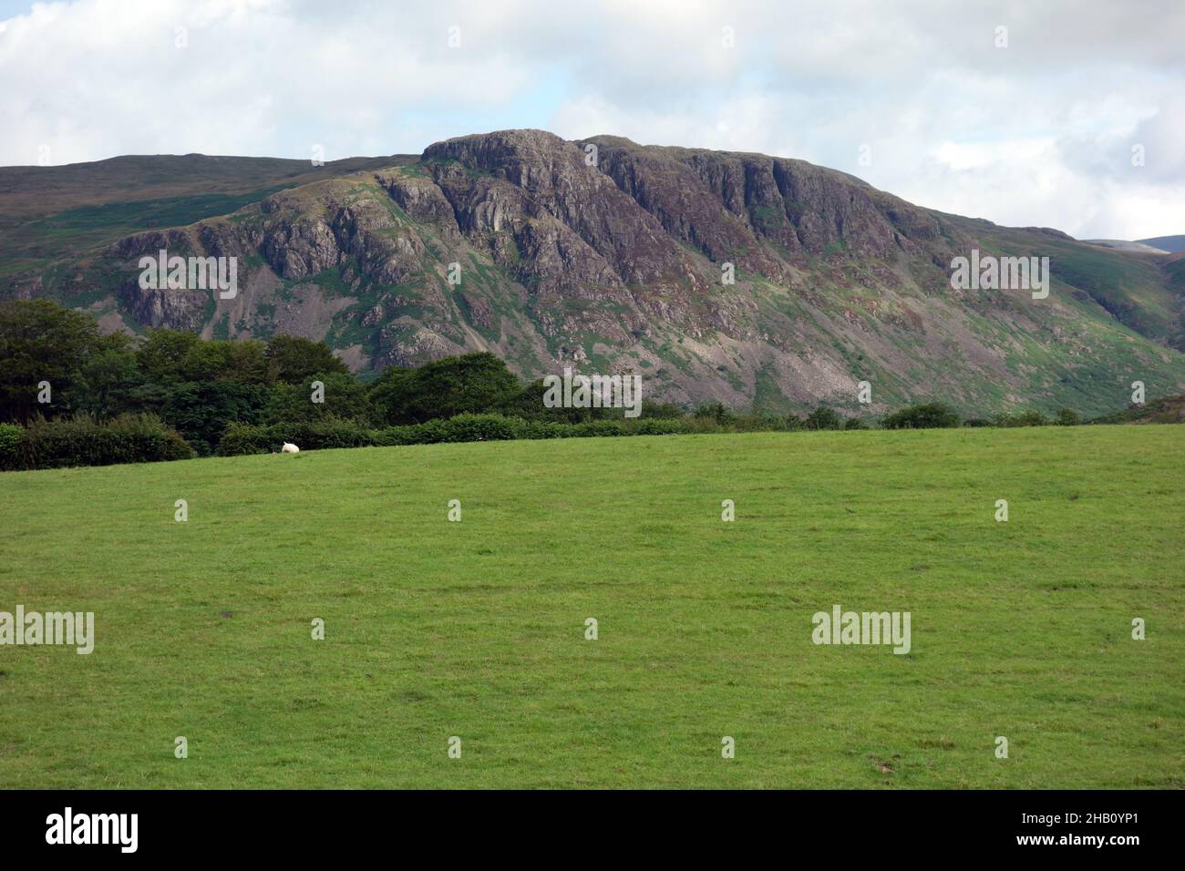 Die Wainwright 'Buckbarrow' von Feldern in der Nähe von Easthwaite Farm, Nether Wasdale im Wasdale Valley, Lake District National Park, Cumbria, England, Großbritannien. Stockfoto