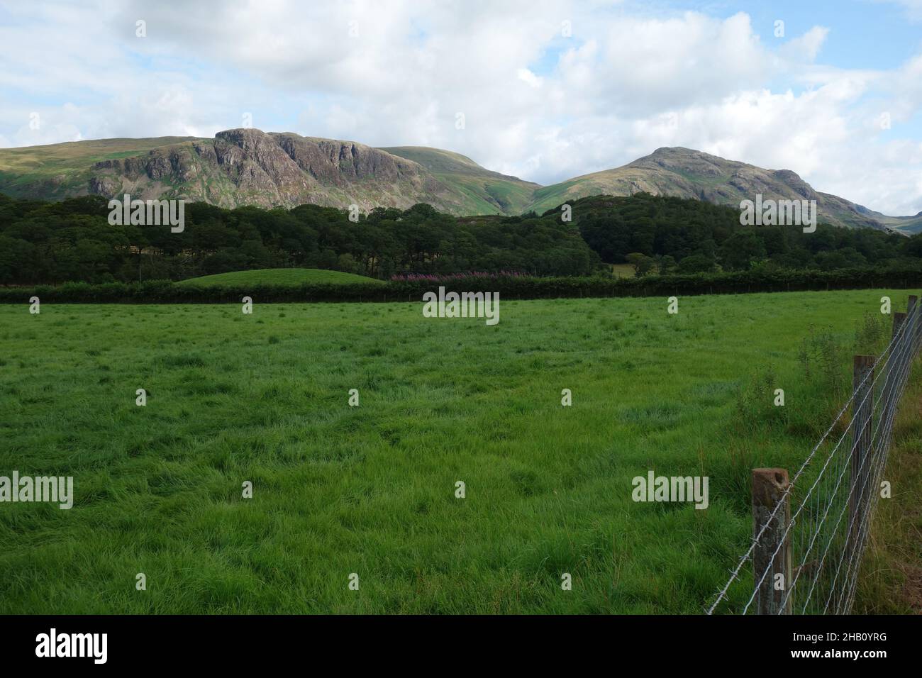 The Wainwrights 'Buckbarrow & Middle Fell' von Easthwaite Farm, Nether Wasdale im Wasdale Valley, Lake District National Park, Cumbria, England, Großbritannien Stockfoto