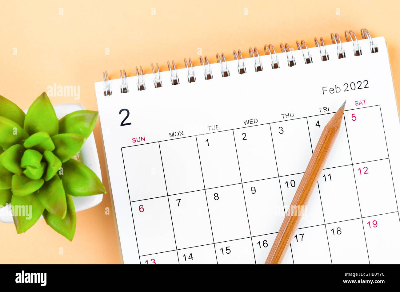 Der Tischkalender Februar 2022 mit Holzstift. Stockfoto
