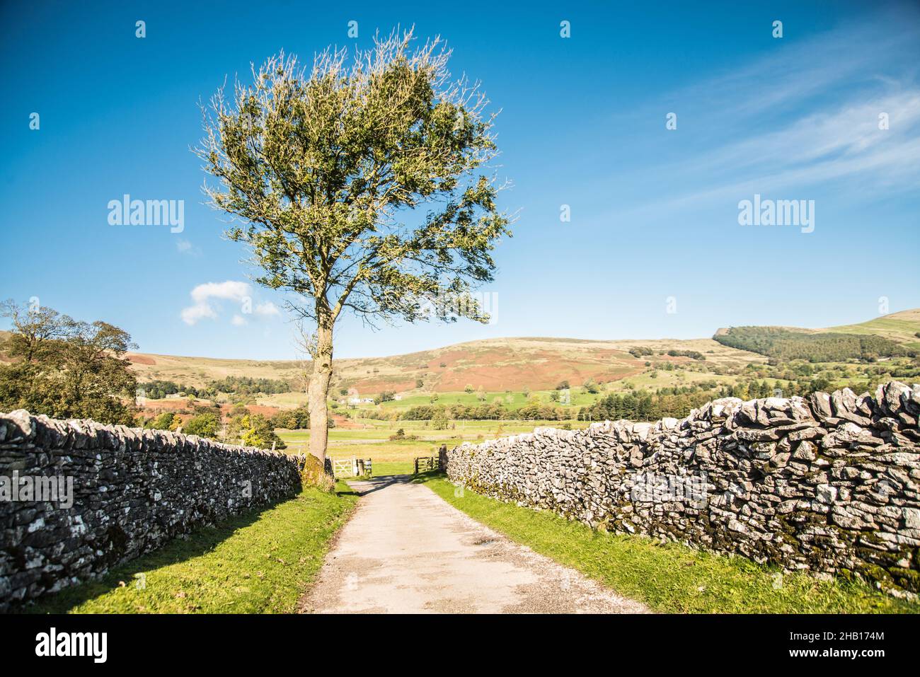 Hitze des Landes Raymond Boswell Stockfoto