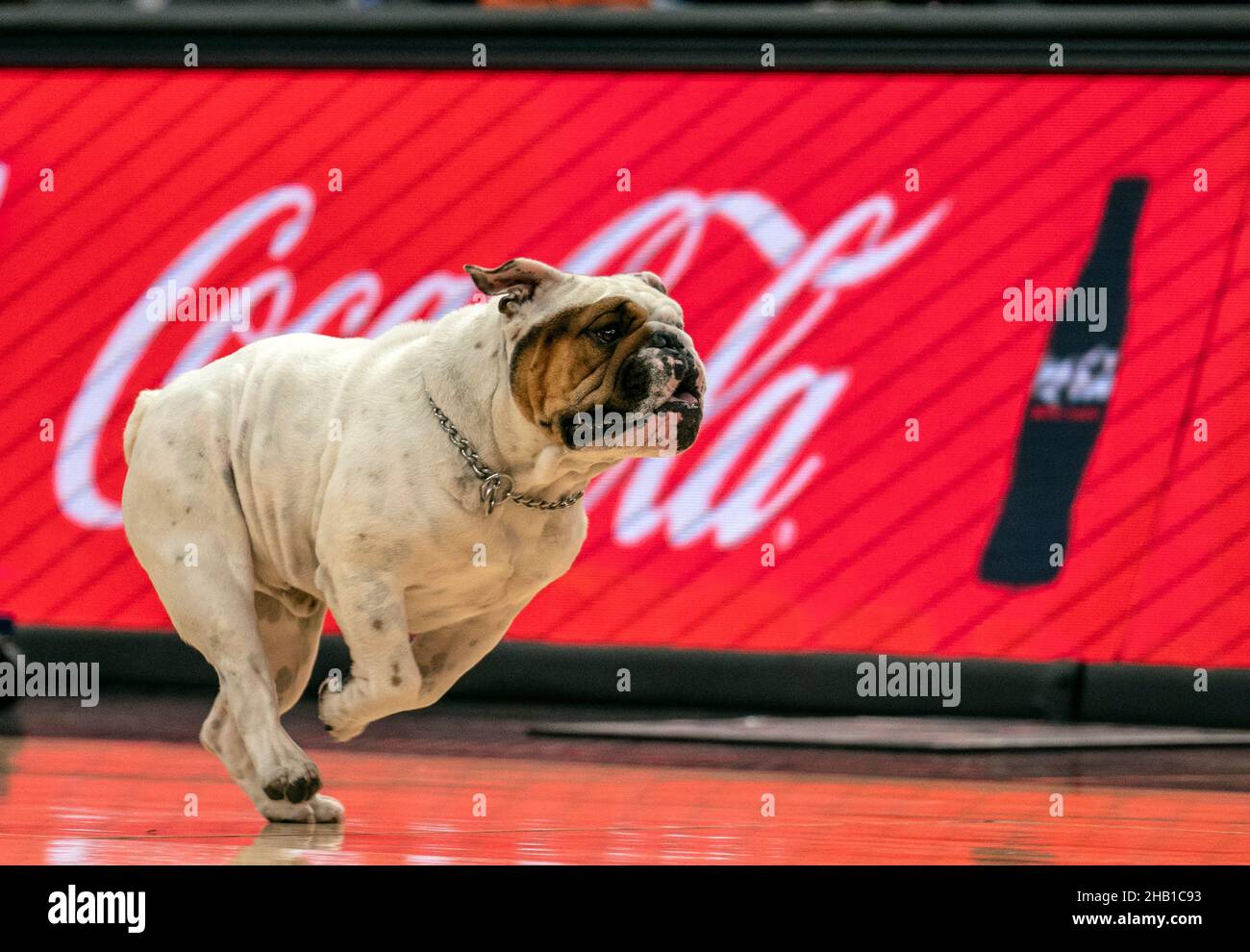 WASHINGTON, DC - 15. DEZEMBER: Jack, Maskottchen von Georgetown Hoyas, läuft während eines College-Basketballspiels an einem Werbeschild „Jack and Coke, no Ice“ vorbei Stockfoto