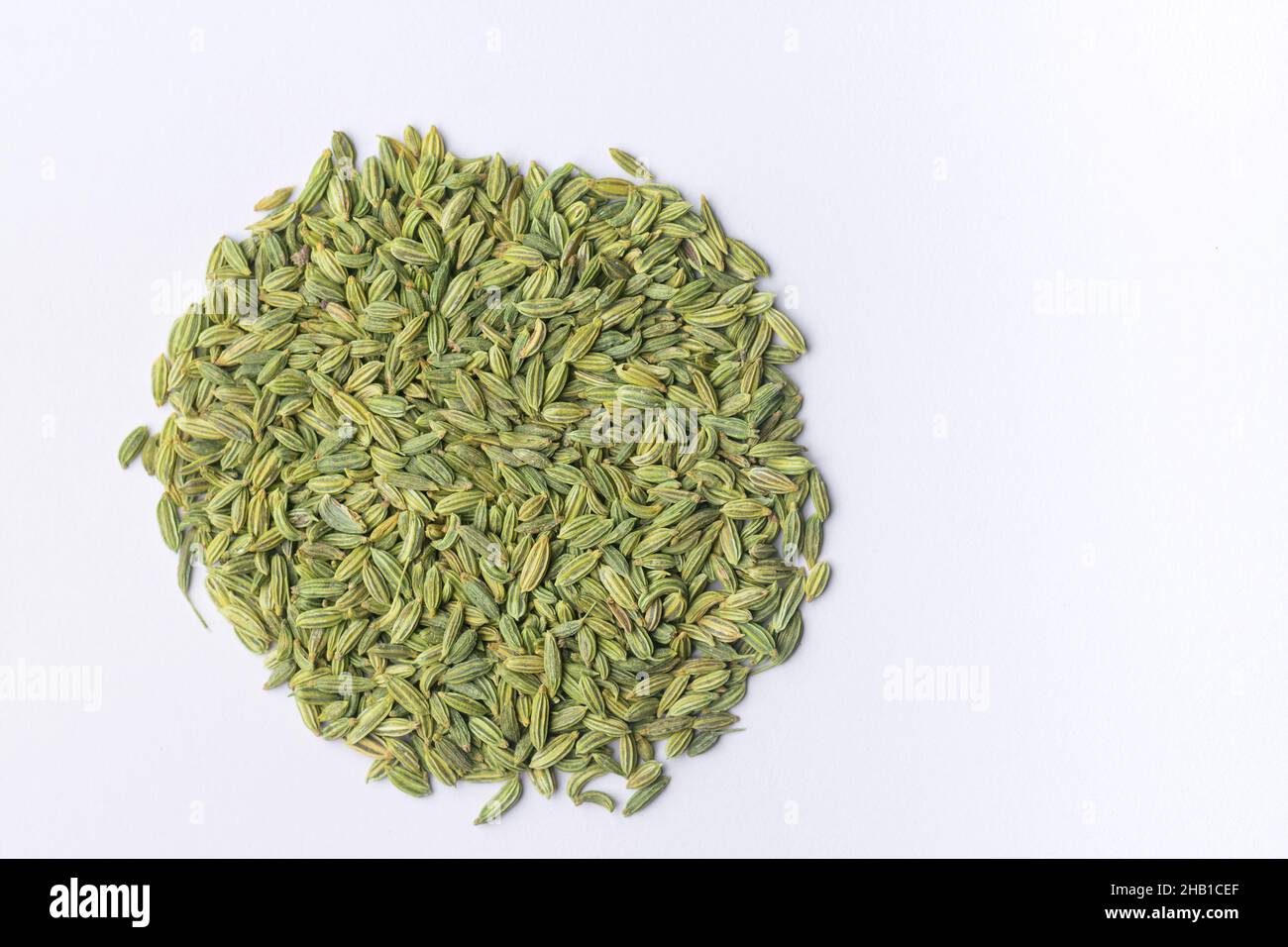 Trockene Fenchelsamen verteilen sich auf dem weißen Hintergrund in kreisförmiger Form. Stockfoto