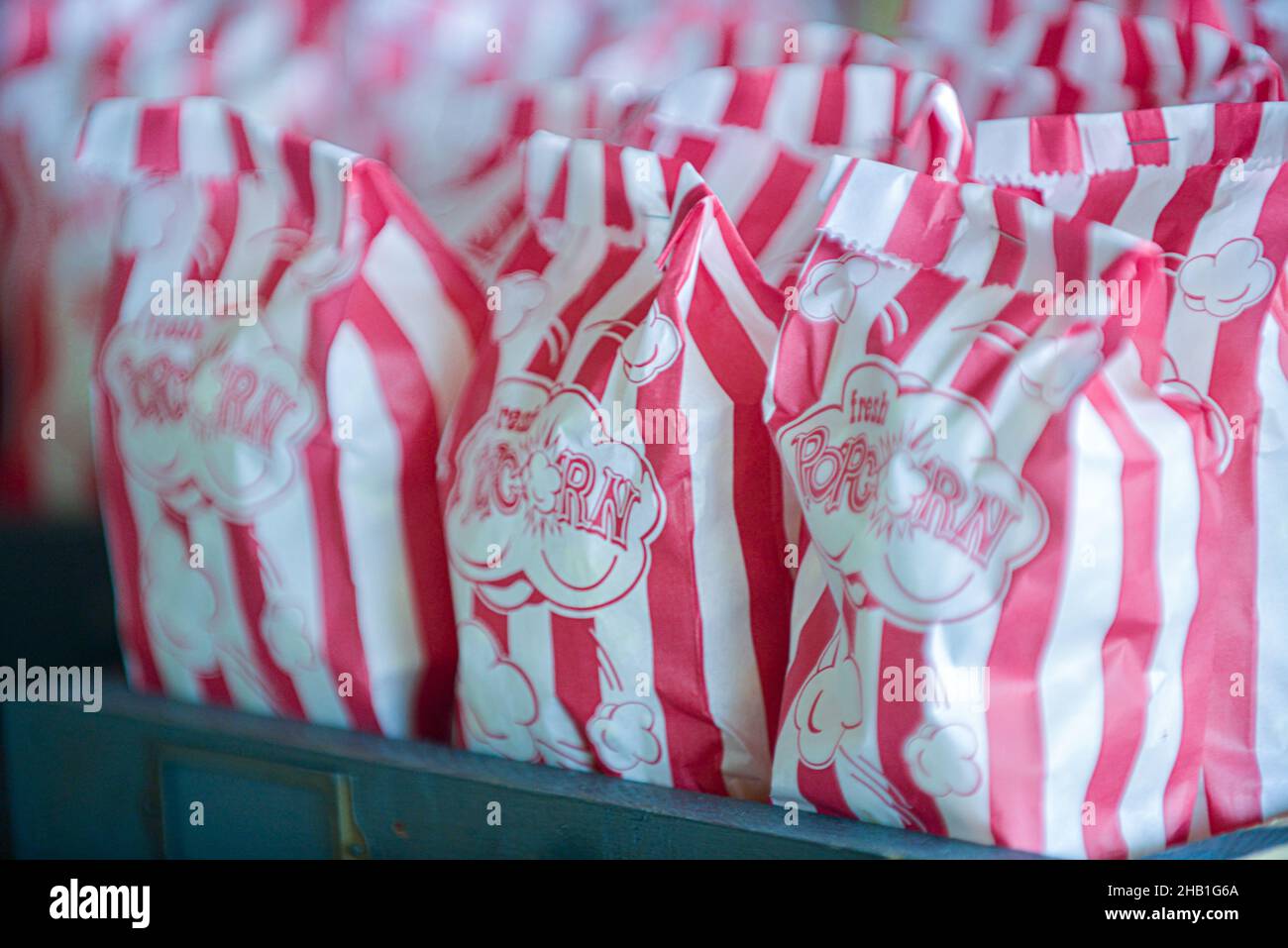 Viele Reihen Popcorn in weißen Papiertüten mit roten vertikalen Streifen und Aufdruck „Fresh Popcorn“ auf den Tüten Stockfoto