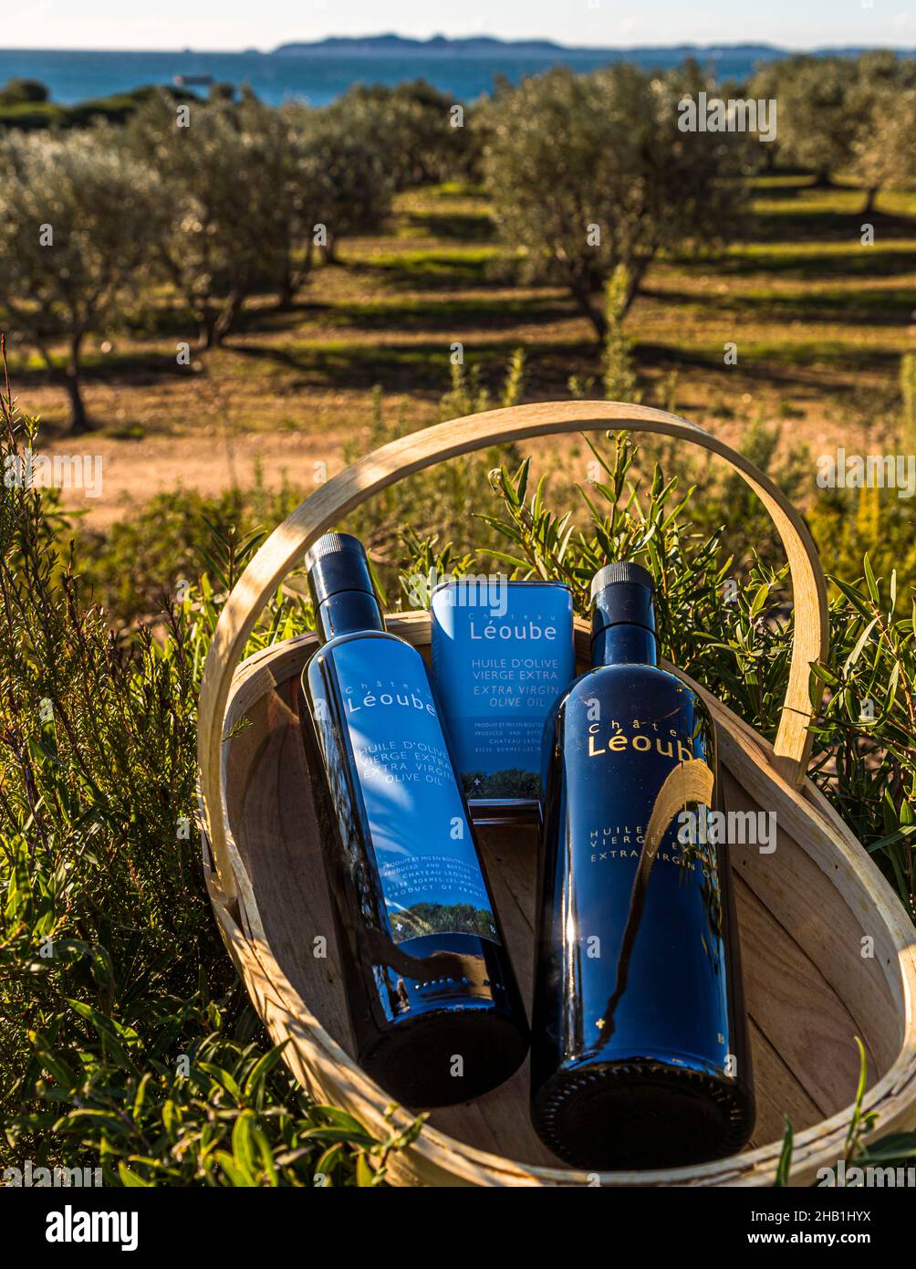 Zwei Flaschen des eigenen Olivenöls von Château Léoube stehen in einem Weidenkorb vor Olivenbäumen und dem Mittelmeer in der Nähe von Bormes-les-Mimosas, Département Var, Frankreich; das Gut produziert die Sorten "Azur Provence" (Picholine/Aglandau) und "Premium" (eine französisch-italienische Mischung). Stockfoto