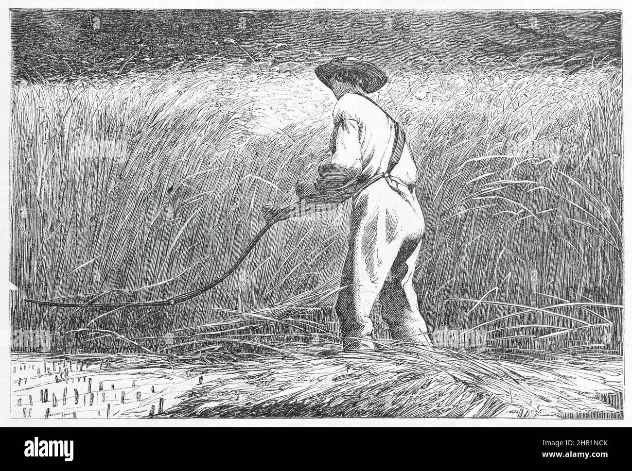 Der Veteran in einem neuen Feld, Winslow Homer, Amerikaner, 1836-1910, Holzstich, 1867, 4 3/16 x 6 1/4 Zoll, 10,6 x 15,9 cm, Landwirtschaft, Americana, Zeichnung, Bauernhof, Bauer, Feldhand, Feldhand, havest, Jesaja 2:4, Arbeit, Landschaft, pastoral, ernten, ländlich, scythe, Schwerter in Pflugscharen, Werkzeuge, Weizen, Arbeiten Stockfoto