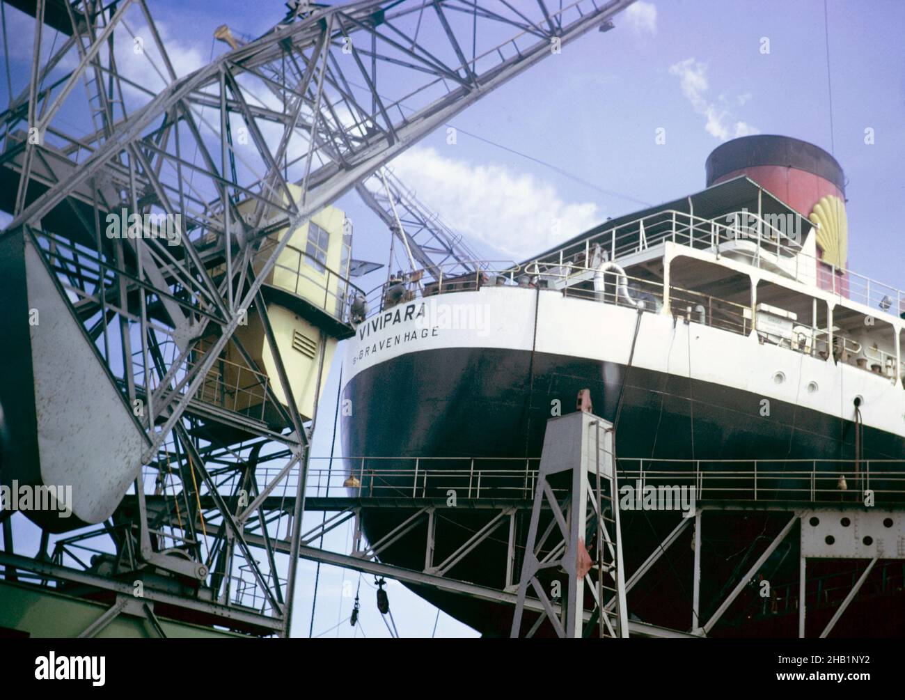Vivipara, Öltankschiff fertiggestellt 1957 für Shell Tankers Rotterdam, Heimathafen 's-Gravenhage, 1971 Stockfoto