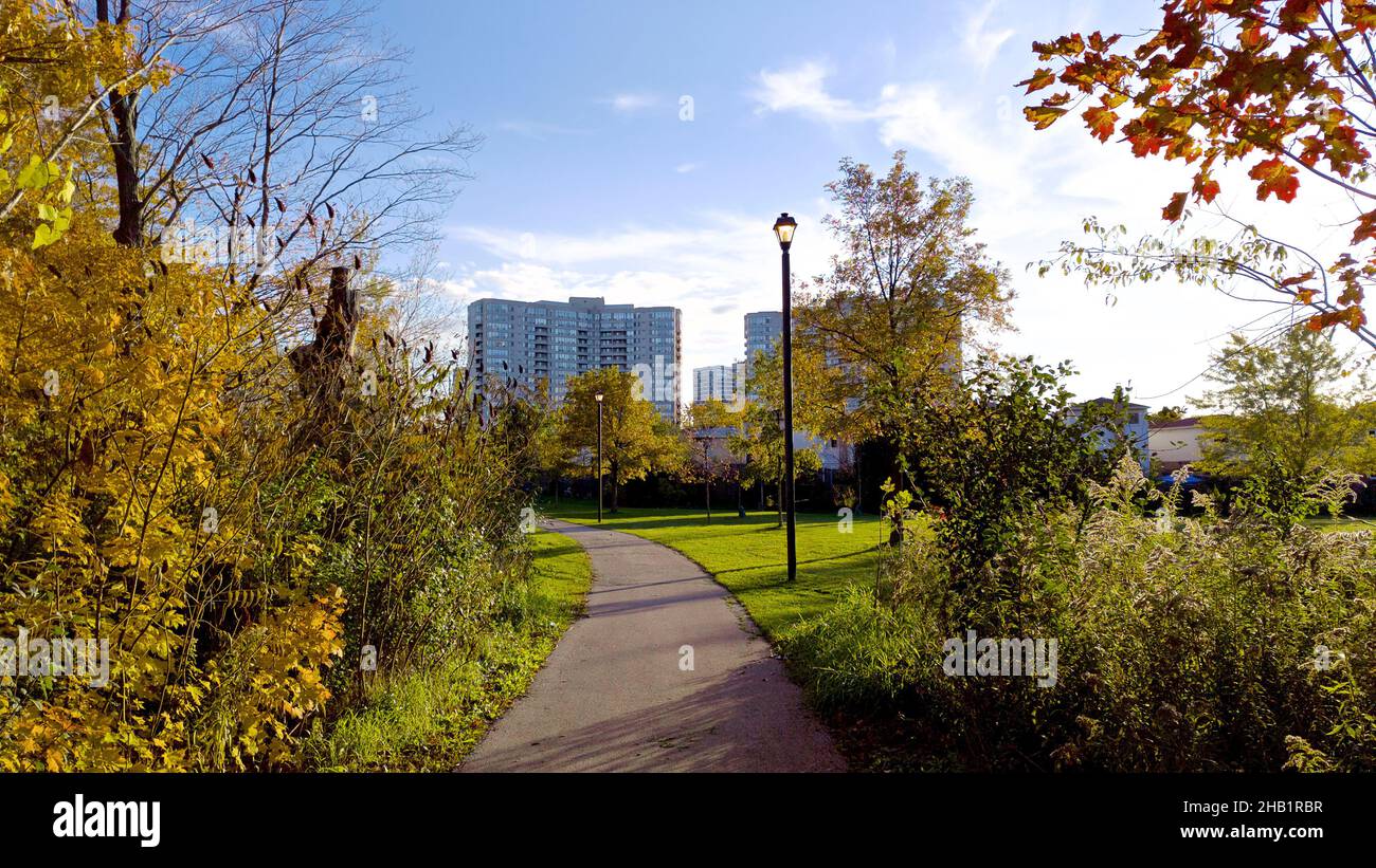 Stadtleben - Landschaft des öffentlichen Parks im Herbst mit den Mehrfamilienhäusern im Hintergrund Stockfoto