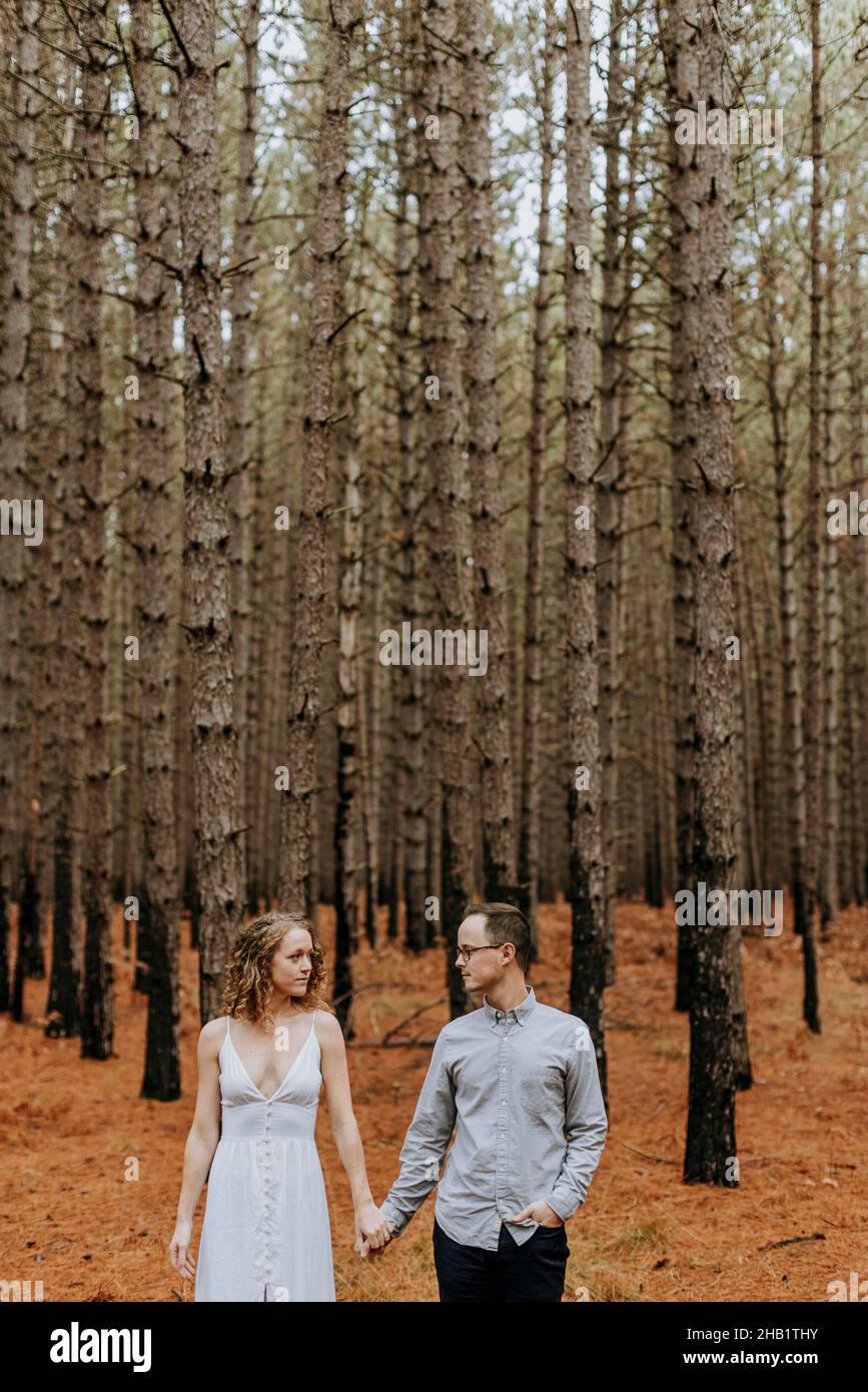 Ein Paar, das sich die Hände hält, schaut sich inmitten von Kiefern im Wald an. Stockfoto Ein Paar, das sich die Hände hält, schaut sich inmitten von Kiefern im Wald an. Stockfoto