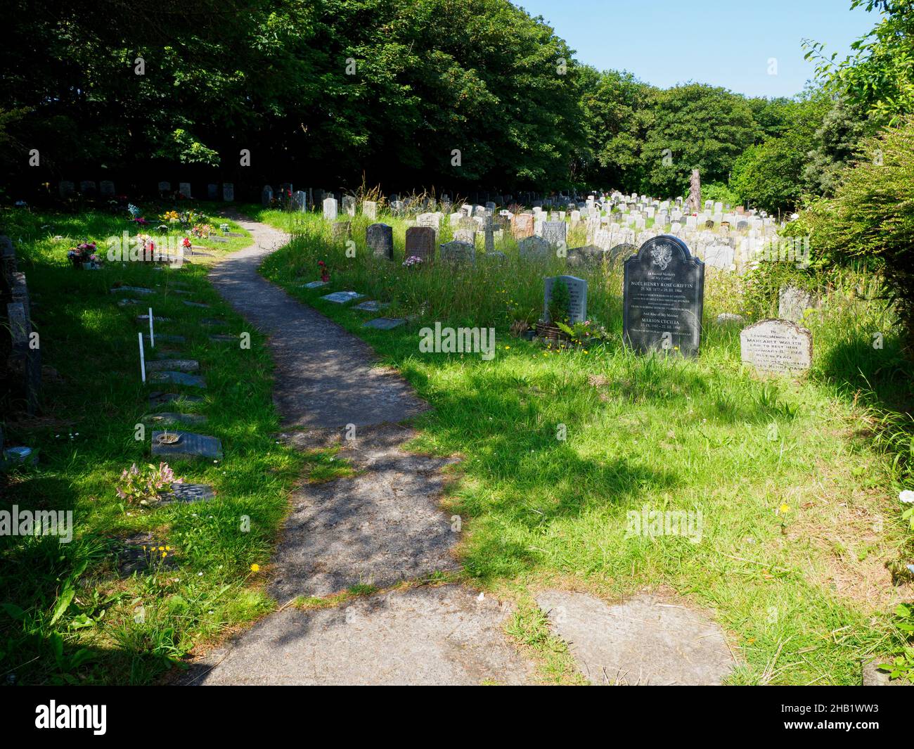 Friedhof, der zum Wohle der Tierwelt überwachsen wird, St Michael and All Angels, Church, Bude, Cornwall, UK, Stockfoto