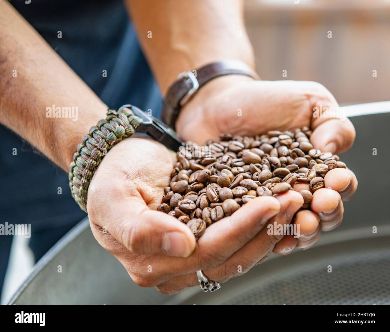 Der Kaffeeröster überprüft in Bangkok frisch geröstete Kaffeebohnen Stockfoto