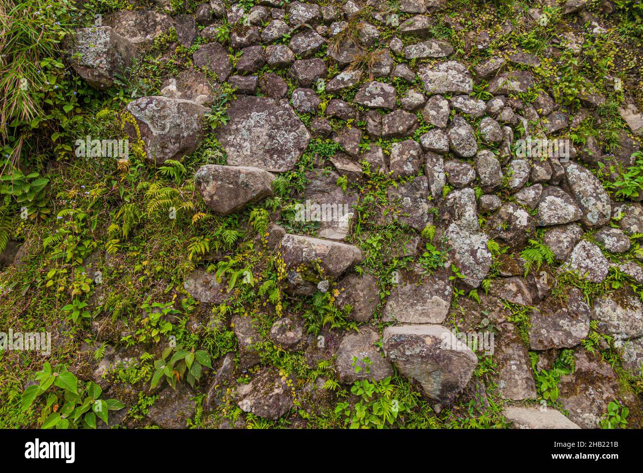 Steintreppe auf den Reisterrassen von Batad, Insel Luzon, Philippinen Stockfoto