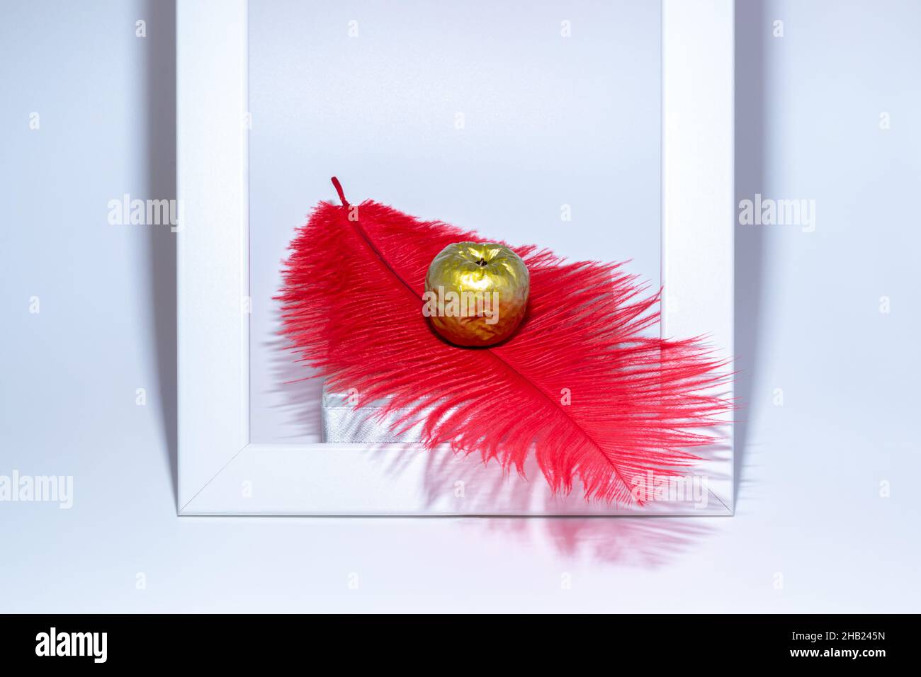 Gerahmter goldener Apfel und leuchtend rote Feder auf Weiß. Fine Art Textur Hintergrund Stockfoto