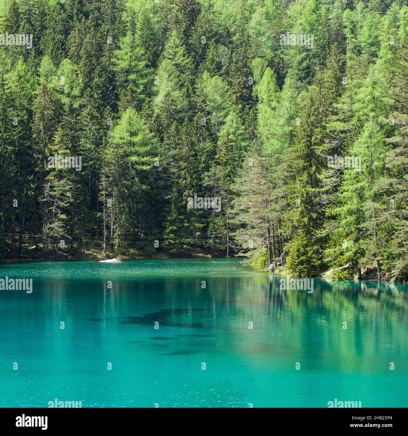 Grün, See grün, Österreich, Wasser, Steiermark, Tragöss, Trinkwasser, grüner See, Wald, Bäume, Landschaft, blau, klar, Sonne, Natur, grün, türkis, Stockfoto