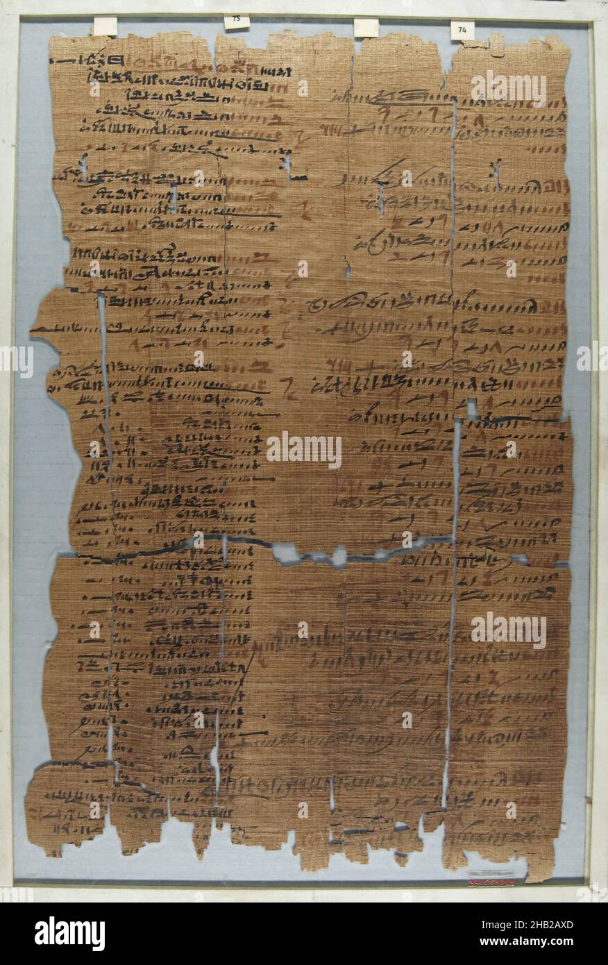 Der Wilbour Papyrus, Papyrus, Tinte, Mittelägypten, Ägypten, Ca. 1147 v. Chr., Dynasty 20, New Kingdom, Glas: 12 3/16 x 18 1/8 Zoll, 31 x 46 cm Stockfoto