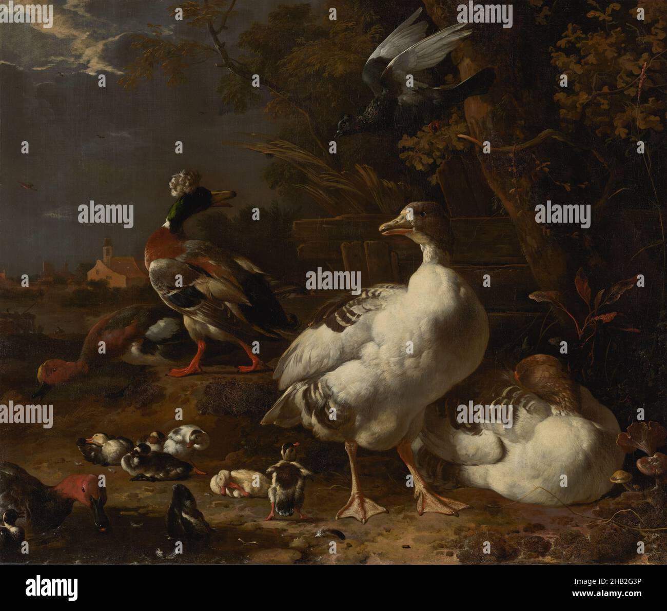 Gänse und Enten, Melchior d' Hondecoeter, c. 1680 Stockfoto