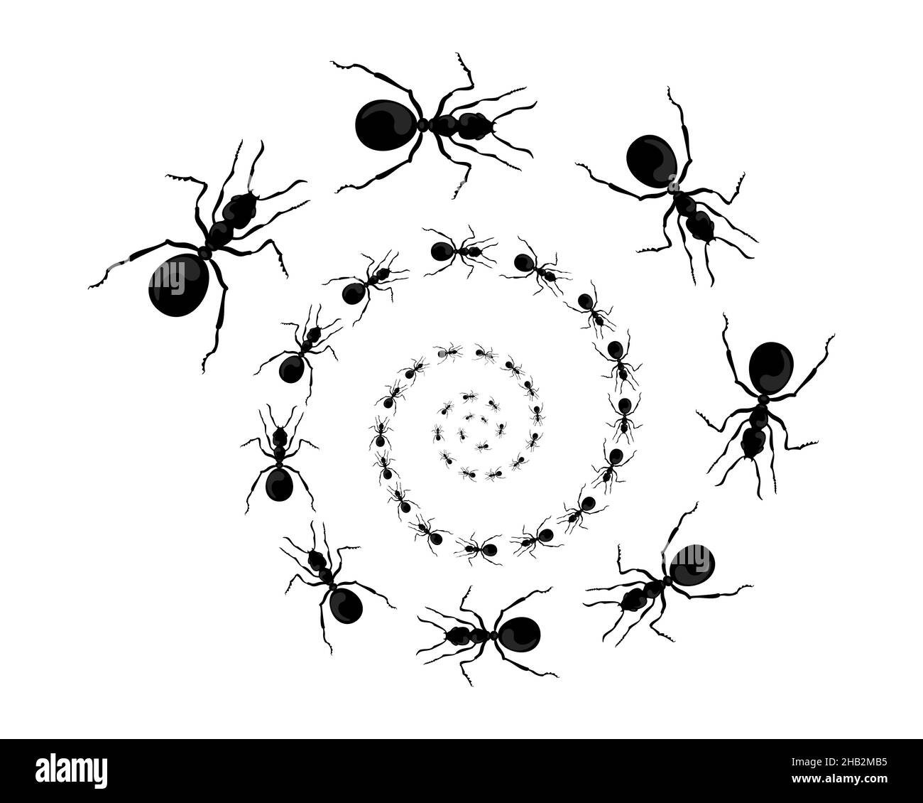Ein Pfad von Ameisen, die hochlaufen. Blick von oben. Vektor-Illustration im flachen Cartoon-Stil Stock Vektor