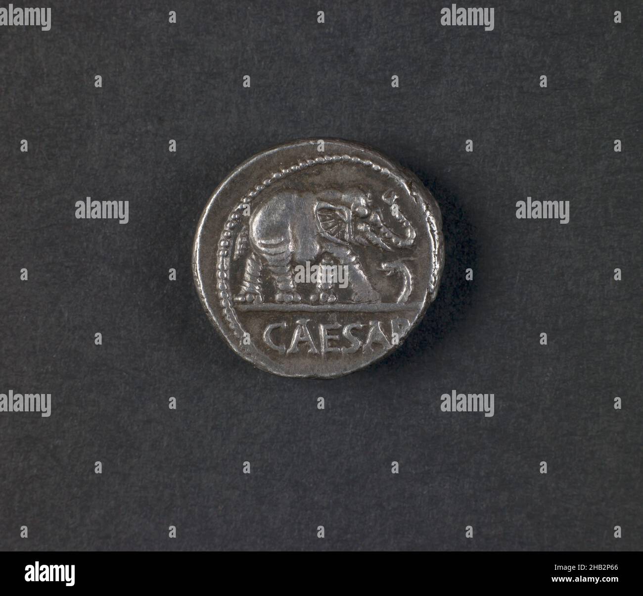 Denar mit Elefant, mit C. Julius Caesar, 100–44 v. Chr., Roman, republikanische Periode, 509–27 v. Chr., 49–48 v. Chr., Silber, Rom, Latium, Italien, Europa, Münzen & Währung, Metallverarbeitung, 3,78 Gramm Stockfoto
