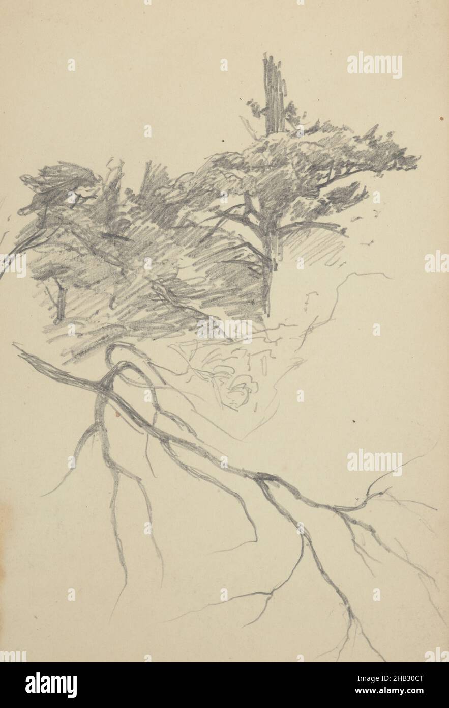 Bleistiftbaumstudien. Aus: Einem Skizzenbuch aus dem Jahr 1907/8, Petrus van der Velden, Künstler, 1907-1908, Wellington Stockfoto