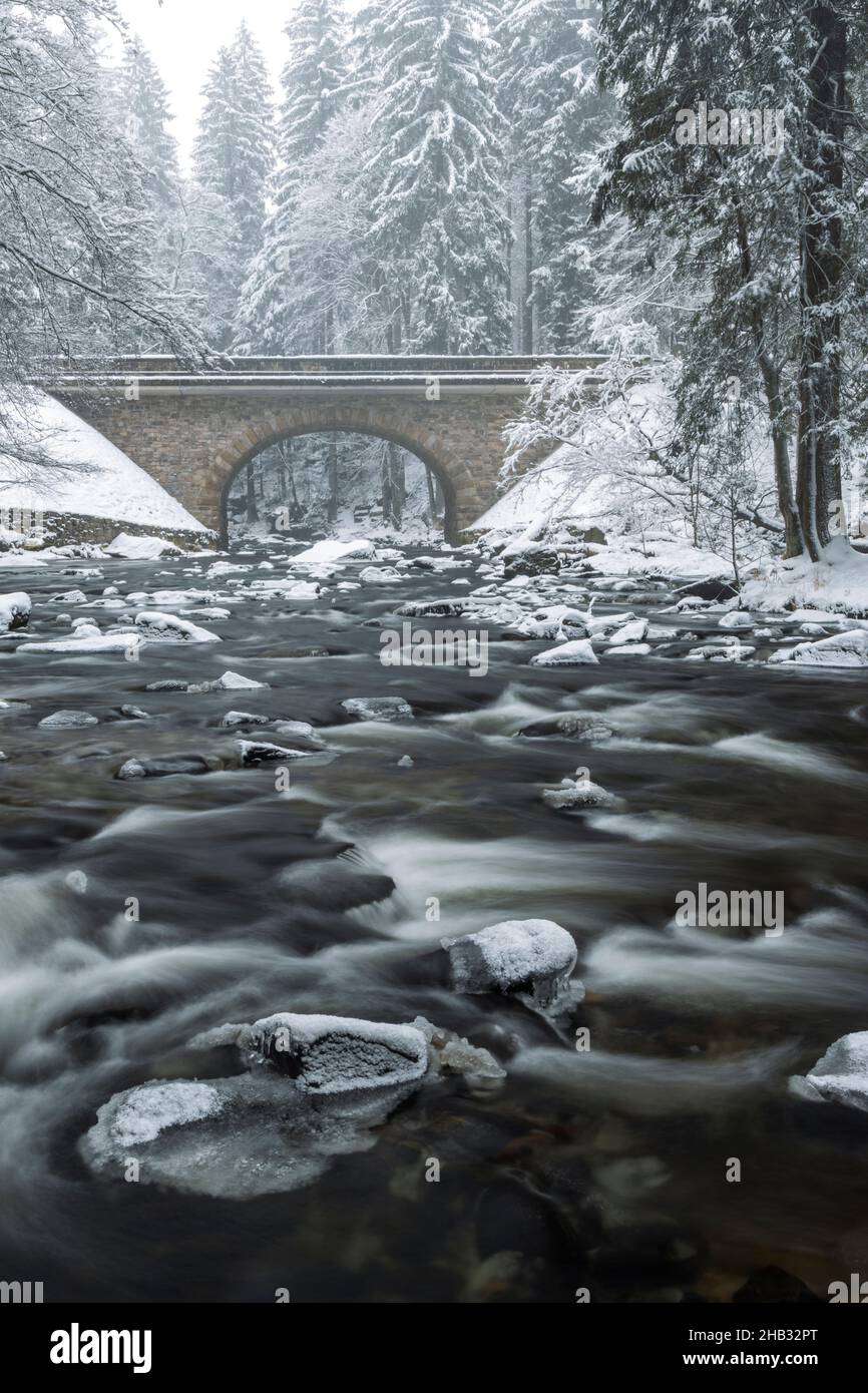 Divoka Orlice Fluss in Zemska brana, Orlicke Gebirge, Ostböhmen, Tschechische Republik Stockfoto