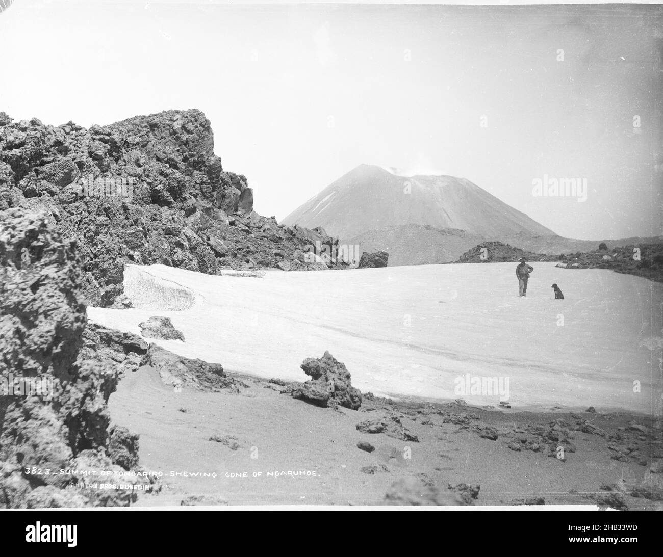 Gipfel von Tongariro, zeigt Kegel von Ngaruahoe, Burton Brothers Studio, Fotostudio, um 1886, Neuseeland, Schwarz-Weiß-Fotografie, Ein Mann und ein Hund stehen auf einer schneebedeckten Fläche. Der Vulkan Ngaruhoe ist im Hintergrund Stockfoto