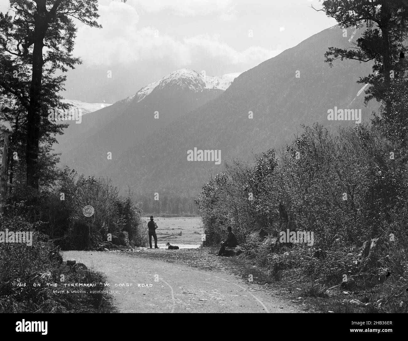 Auf der Teremakau, West Coast Road, Burton Brothers Studio, Fotostudio, Neuseeland, Schwarzweiß-Fotografie Stockfoto