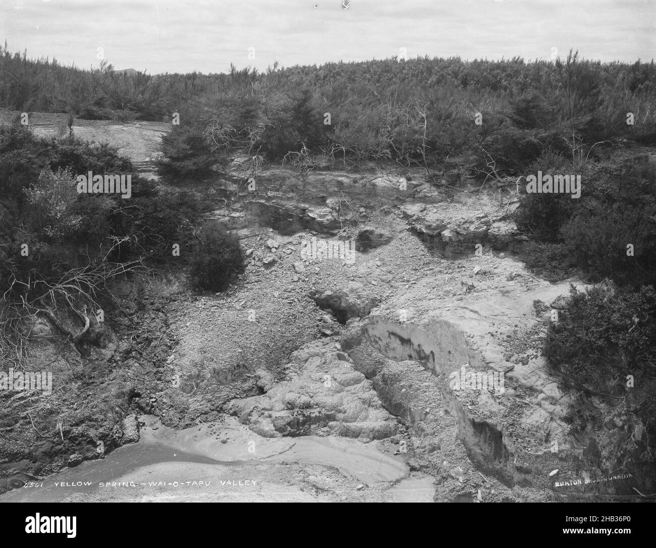 Yellow Spring, Waiotapu Valley, Burton Brothers Studio, Fotostudio, Neuseeland, Schwarzweiß-Fotografie Stockfoto