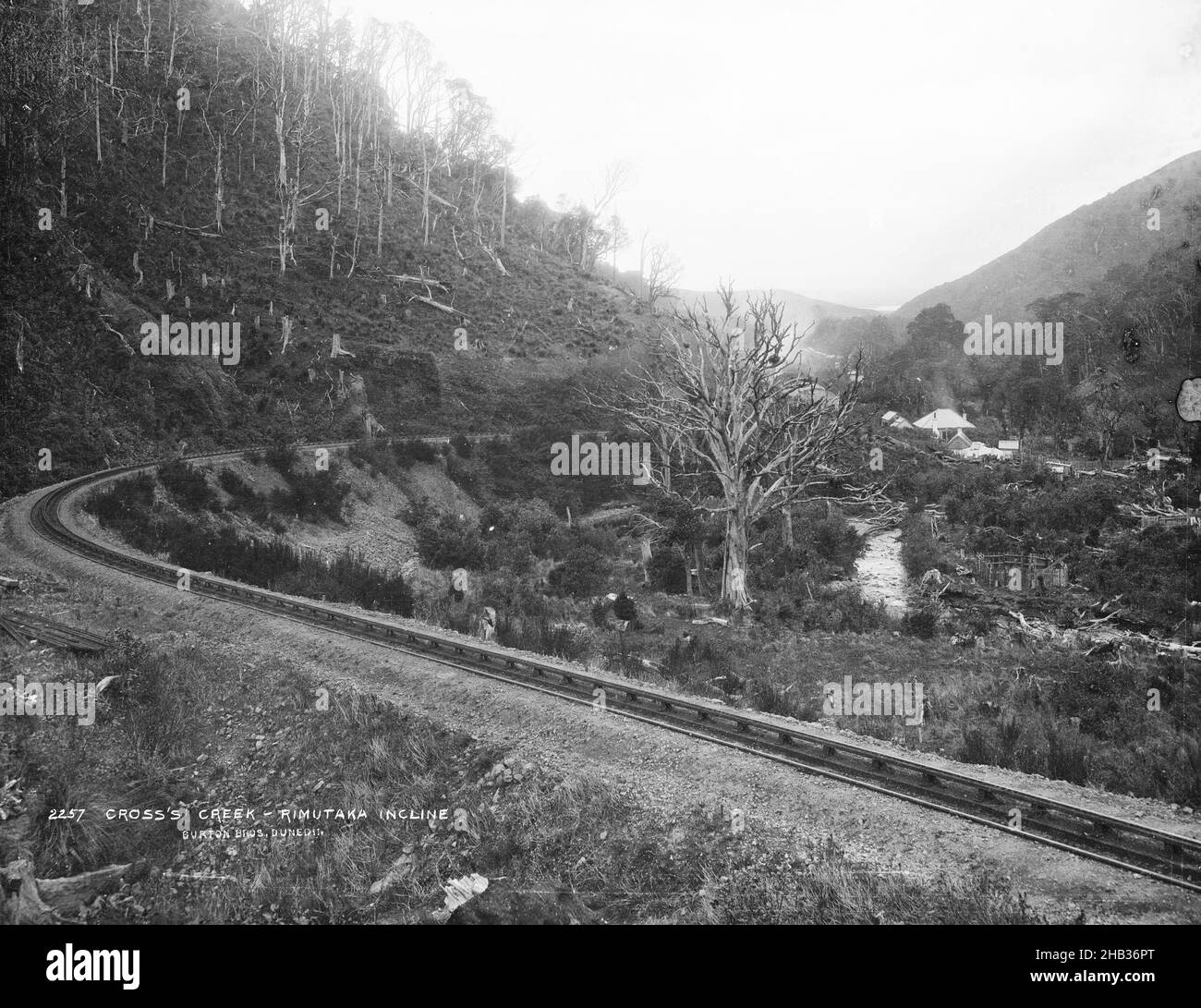 Cross's Creek, Rimutaka Incline, Burton Brothers Studio, Fotostudio, Neuseeland, Gelatine-Trockenteller-Prozess Stockfoto