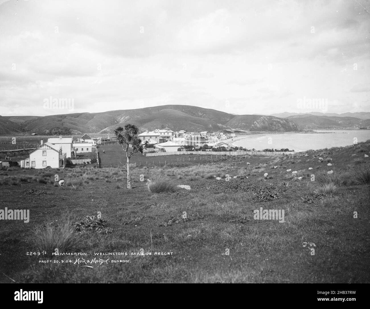 Plimmerton, Wellingtons Seaside Resort, Burton Brothers Studio, Fotostudio, Neuseeland, Schwarzweiß-Fotografie Stockfoto