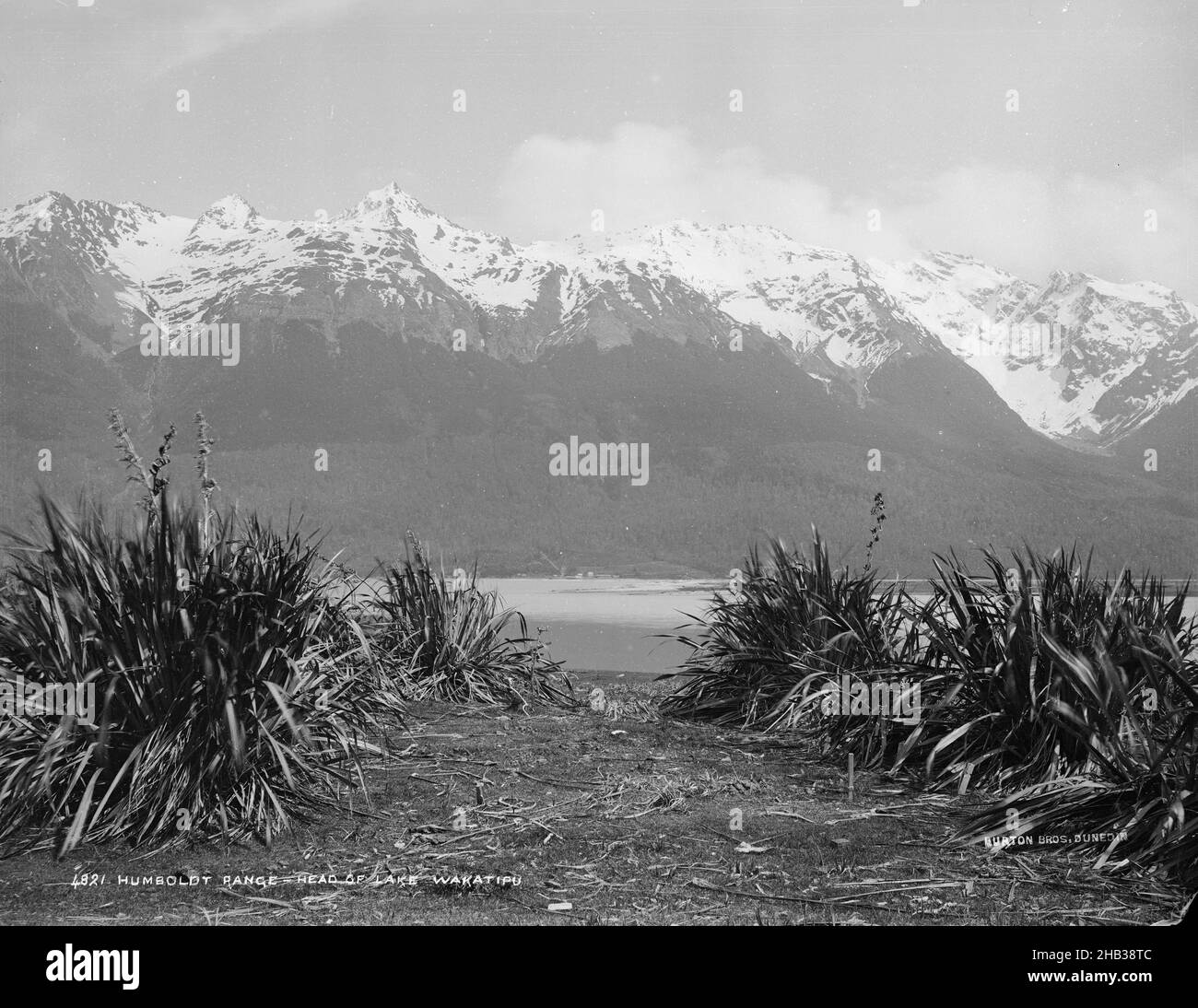 Humboldt Range, Leiter Lake Wakatipu, Burton Brothers Studio, Fotostudio, 1888, Neuseeland, Schwarzweiß-Fotografie, Eine sehr große Auswahl schneebedeckter Berge mit gleichmäßiger Höhe, die über die obere Hälfte des Bildes verlaufen. Im Vordergrund ist ein See, der von vier Flachsklumpen weitgehend verdeckt wird. Der Blick scheint sich auf einer Spur im Sand zwischen diesen Flachsgruppen zu befinden Stockfoto