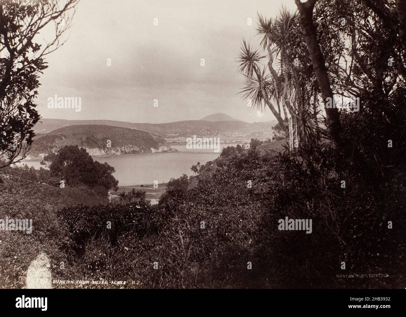 Dunedin aus Silver Acres, Neuseeland, Burton Brothers Studio, 1880s, Otago Stockfoto