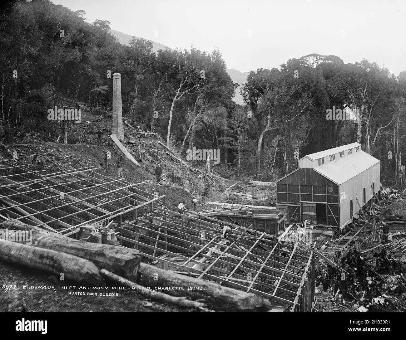 Endeavour Inlet Antimony Mine, Queen Charlotte Sound, Burton Brothers Studio, Fotostudio, Neuseeland, Gelatine-Trockenteller-Prozess Stockfoto