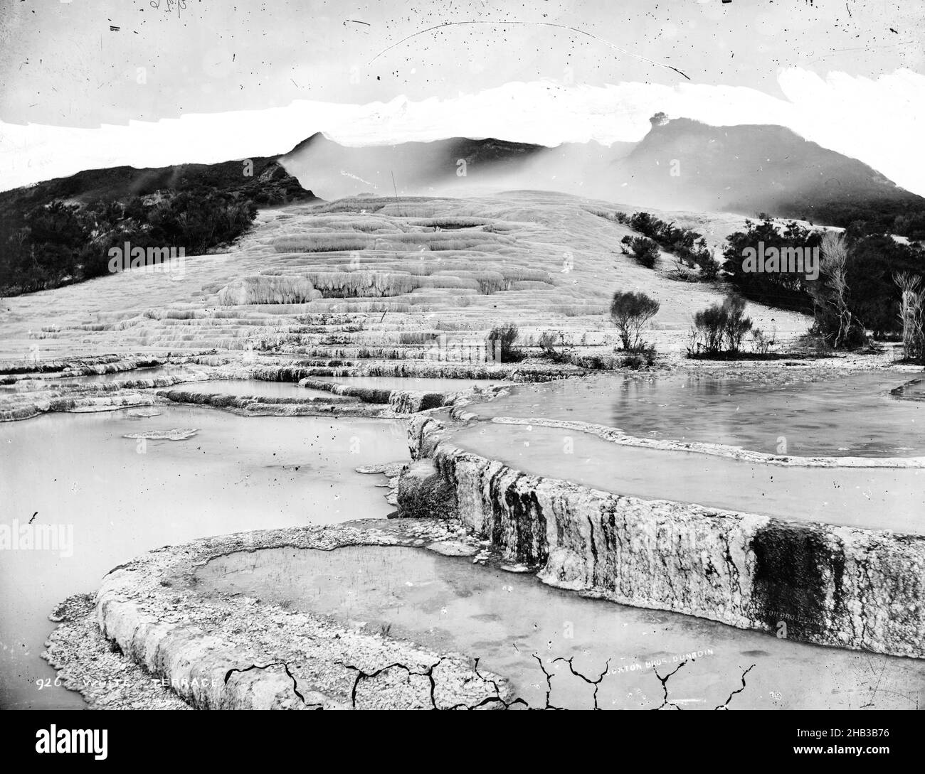 White Terrace, Burton Brothers Studio, Fotostudio, um 1885, Dunedin, Nasskollodion-Prozess, Blick auf die weißen Terrassen bei Rotomahana. Auf der Terrasse steigt Dampf auf Stockfoto