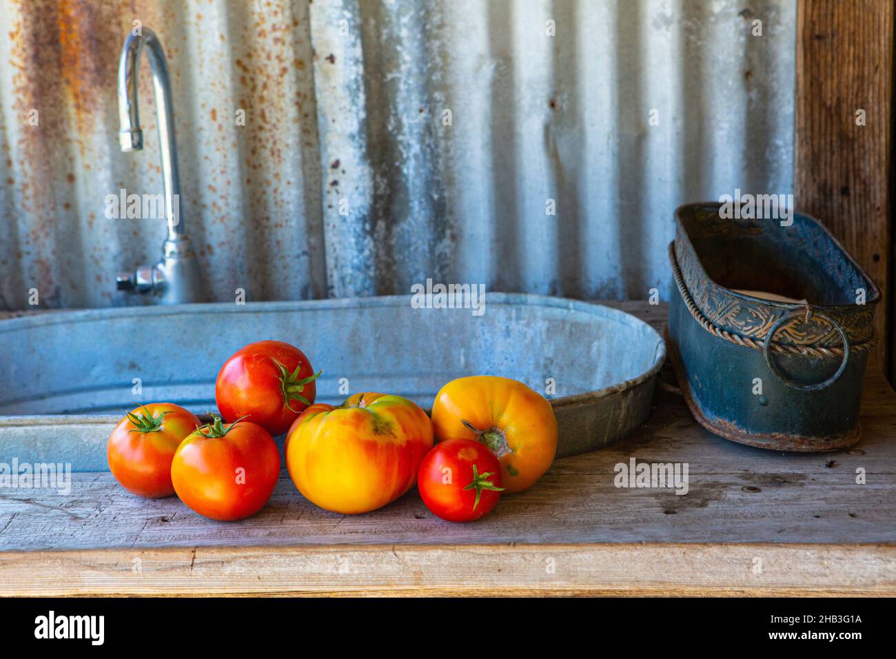 Vegetable Waschstation, Folded Hills Farmstead, Santa Ynez Valley, Kalifornien Stockfoto