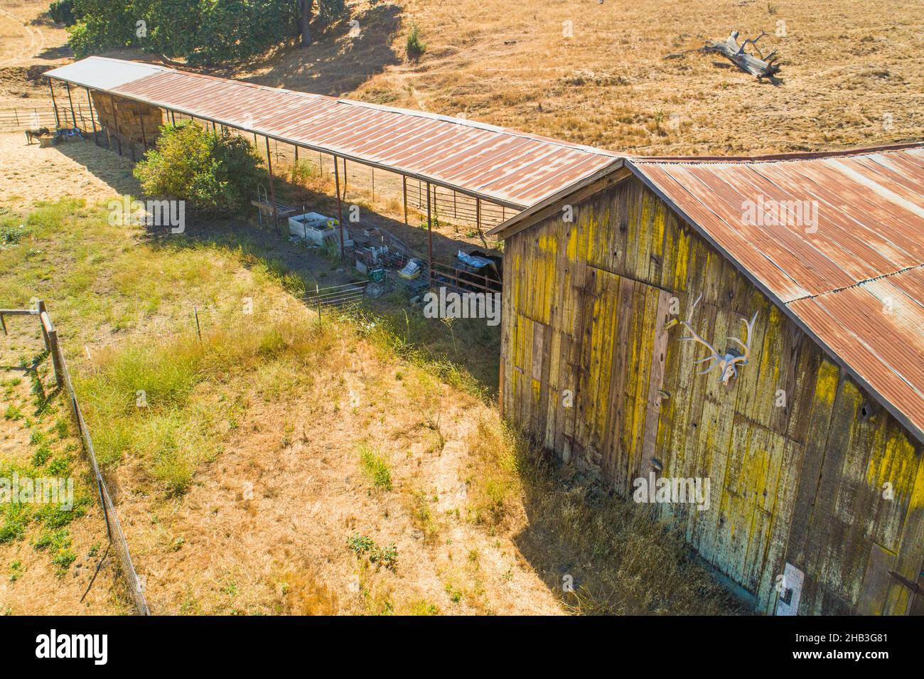 Viehstall, Falded Hills Farmstead, Santa Ynez Valley, Kalifornien Stockfoto