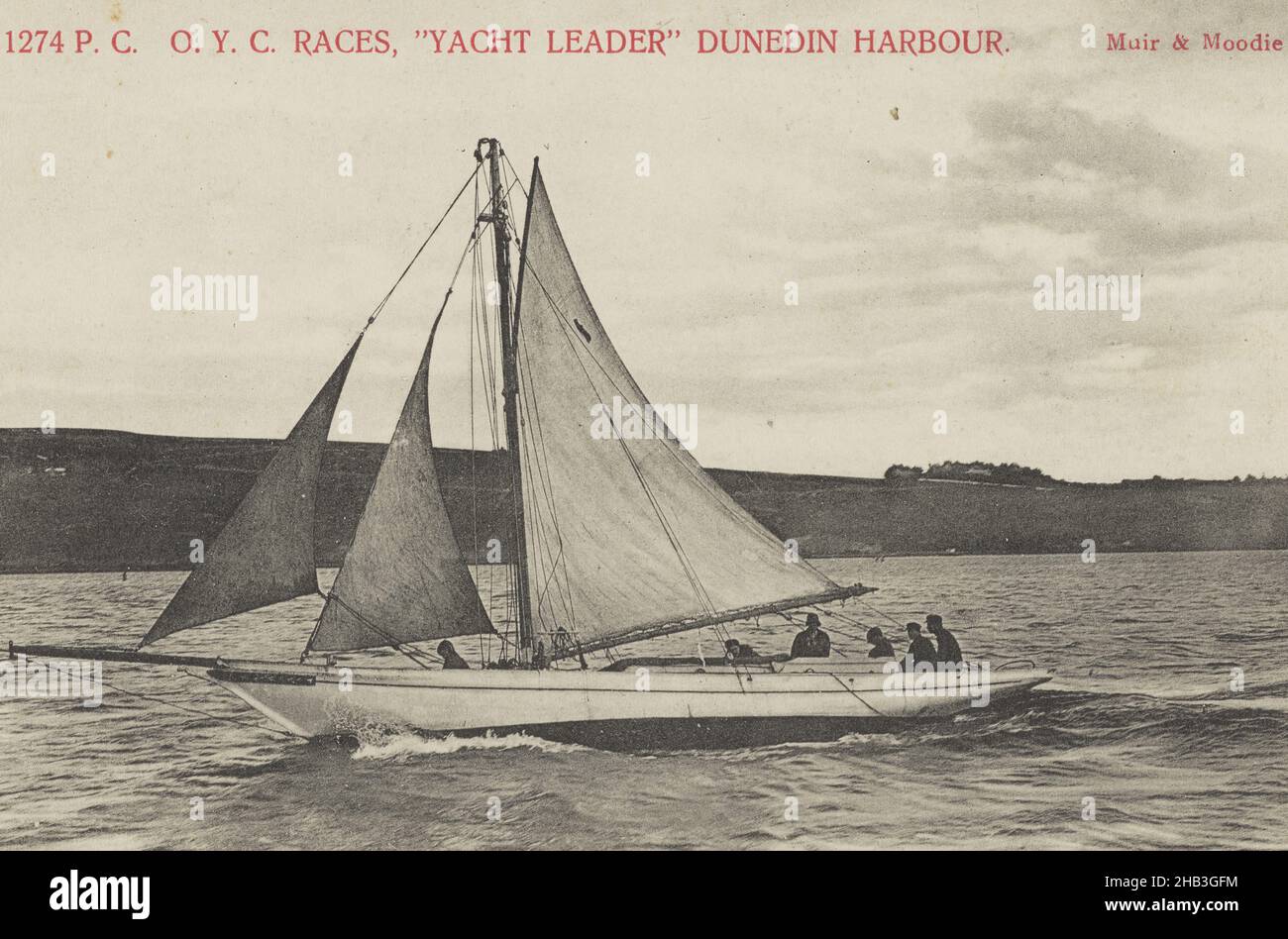 Otago Yachting Club Races, Yacht Leader, Dunedin Harbour, Muir & Moodie Studio, 1905, Dunedin Stockfoto