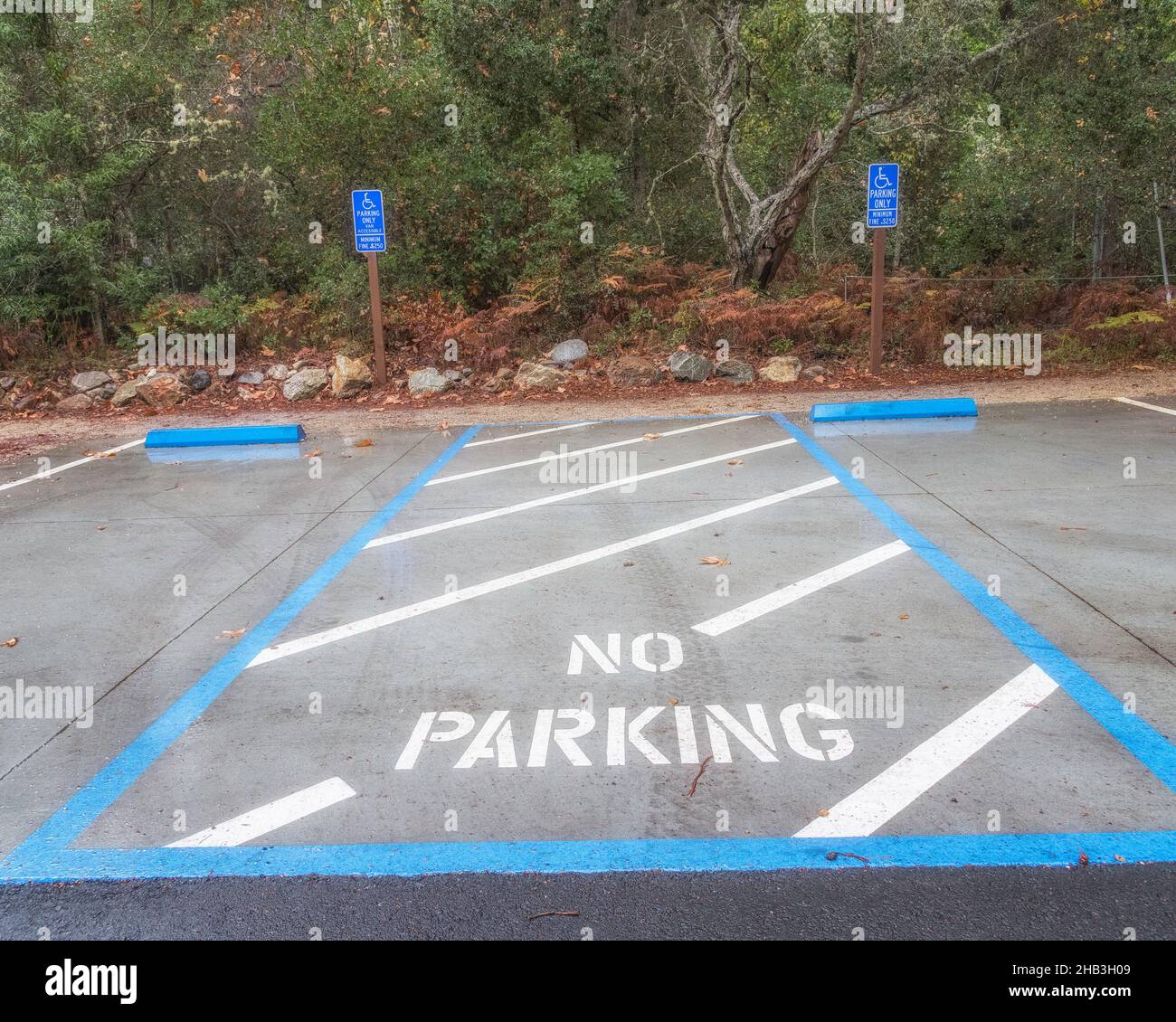 Behindertenparkplätze Pfeiffer Big Sur SP, in Big Sur, CA. Stockfoto