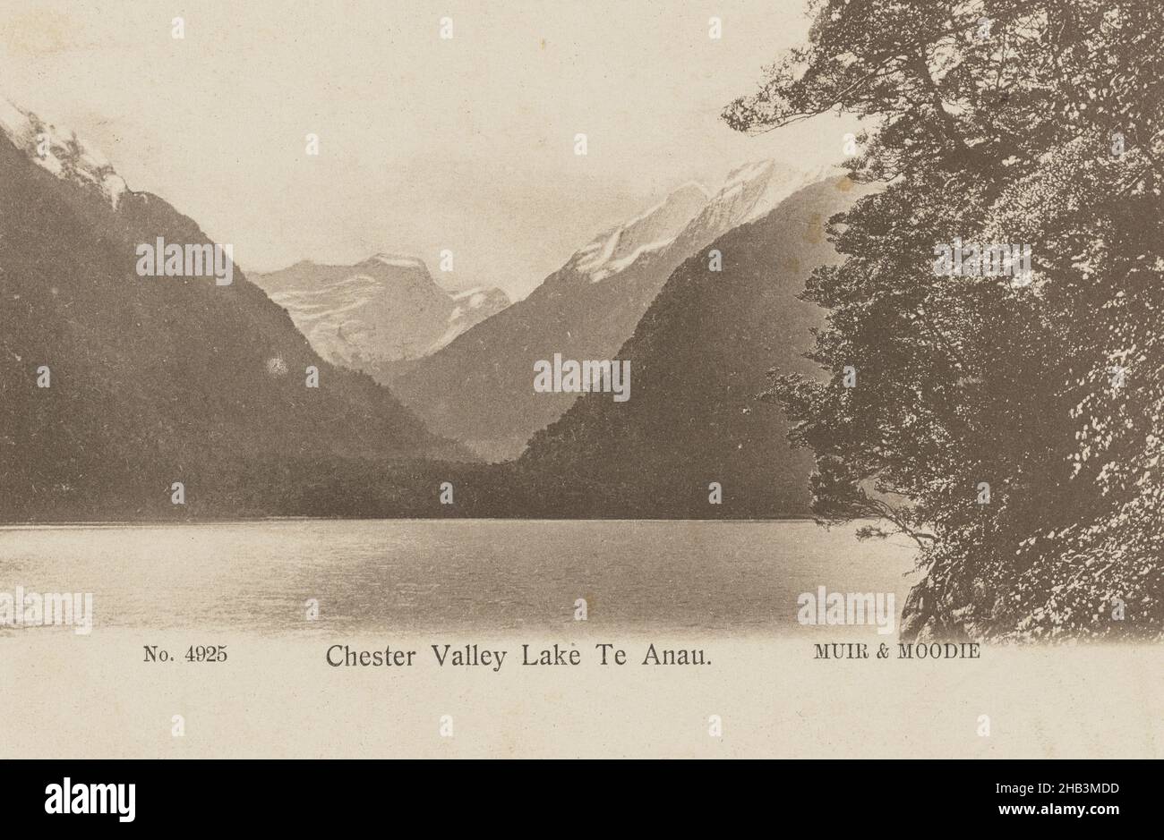 Chester Valley, Lake Te Anau, Muir & Moodie Studio, 1900-1903, Te Anau, Lake Stockfoto