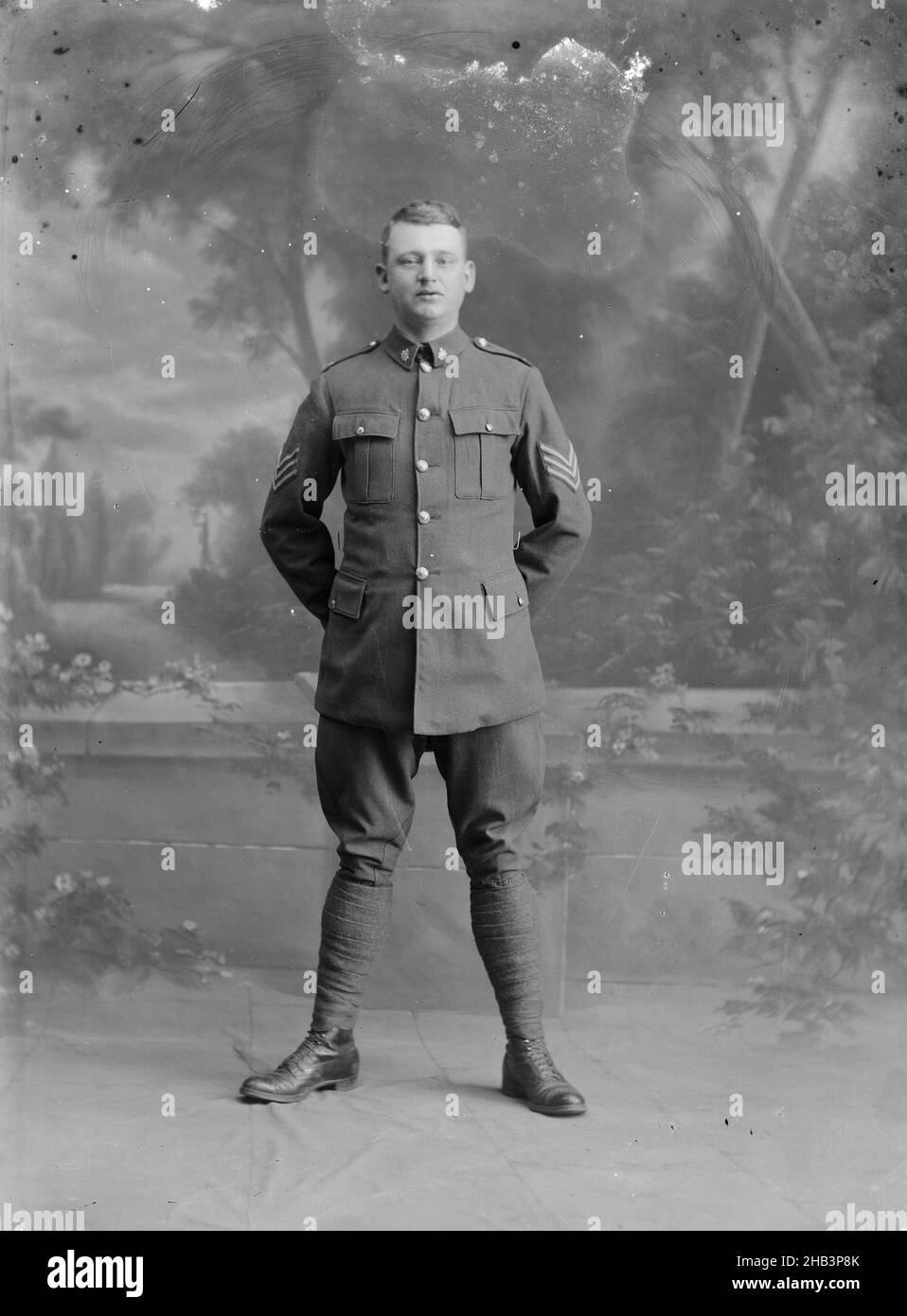 Sergeant im New Zealand Army Service Corps, Berry & Co, Fotostudio, 1914-1919, Wellington Stockfoto
