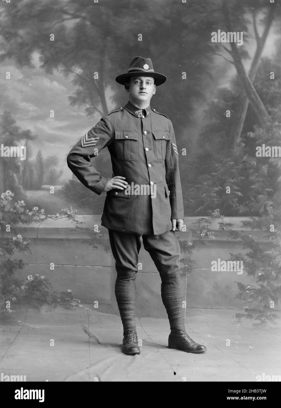 Sergeant im New Zealand Army Service Corps, Berry & Co, Fotostudio, 1914-1918, Wellington Stockfoto